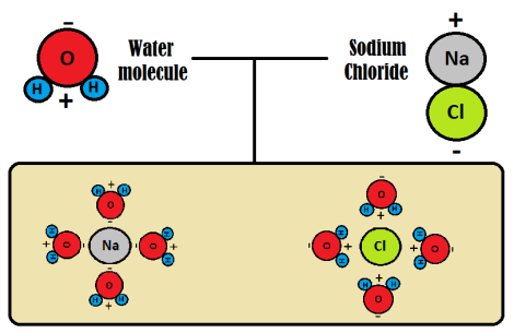 wtare molecule and salt